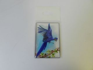Obrázek z Magnet papoušek modrý 5,5x8cm  